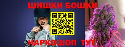 МДПВ Дубна
