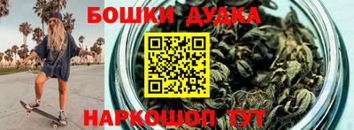 МДПВ Дубна