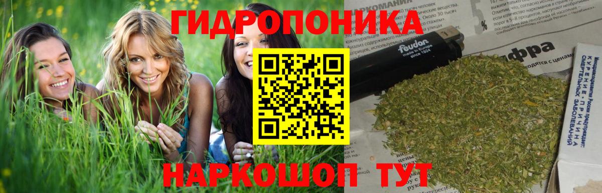 Бошки Шишки MAZAR  Бошки Шишки планчик  Вход с VPN  Прокопьевск  Бошки Шишки SATIVA & INDICA  Каннабис LSD WEED 